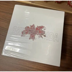 Skullpanda Fatal Enchantment Limited Figure -Toysez 1 31102eb5 334f 475c bf2b 462b522f6b98