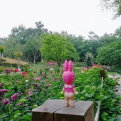 Sonny Angel Cactus Series Secret Rabbit 5 Sonny Angel Cactus Series Secret Rabbit -Toysez IMG 9698